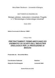 Mirko Bracchitta - Universit Degli Studi di Bologna