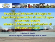 Paolo Balsari - Bioenergy Farm 2