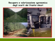 Quality asessement of simplified static method for olive mill waste