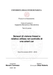 Sensori di visione lineari e relativo utilizzo nel controllo di una smart car