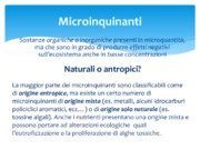 Sfide future nello studio dei microinquinanti negli ambienti lentici 
