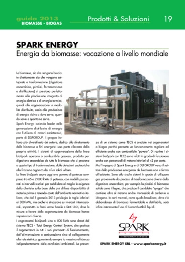 Spark Energy. Energia da biomasse: vocazione a livello mondiale