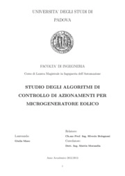 Studio degli algoritmi di controllo di azionamenti per microgeneratore eolico
