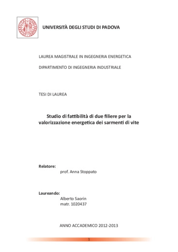 Studio di fattibilit di due filiere per la valorizzazione energetica dei sarmenti di vite