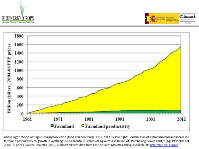 Sustainable perennial bioenergy crops in marginal lands