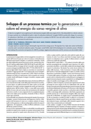 Sviluppo di un processo termico per la generazione di calore ed energia da sansa vergine di oliva