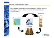 Tecniche applicative di risanamento dei circuiti acqua calda e fredda