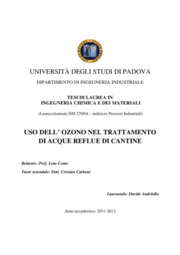 Davide Andriollo - Department of Industrial Engineering, University of Padova