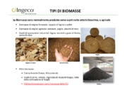 Valorizzazione energetica di biomasse legnose - l