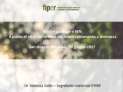 Vanessa Gallo - Fiper - Federazione Italiana Produttori di Energia Rinnovabile